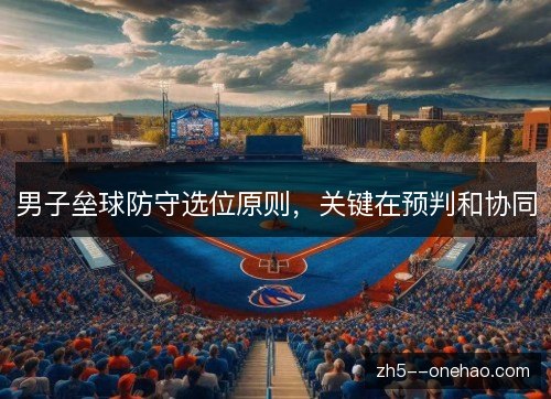 男子垒球防守选位原则，关键在预判和协同